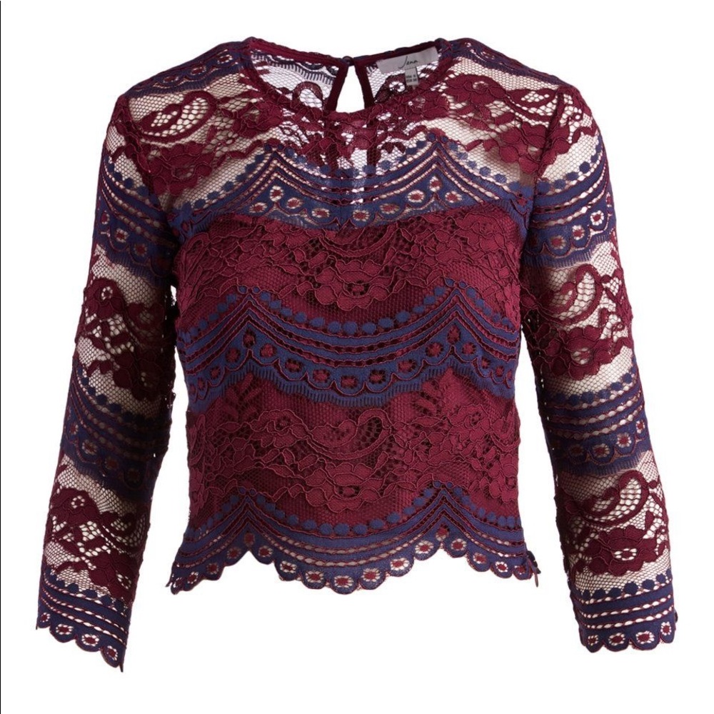 Jenn raisin and navy lace cropped top (top only)